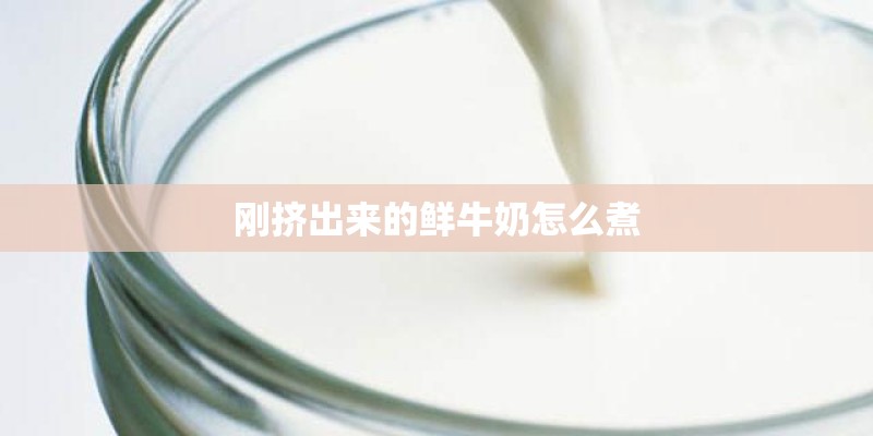 刚挤出来的鲜牛奶怎么煮