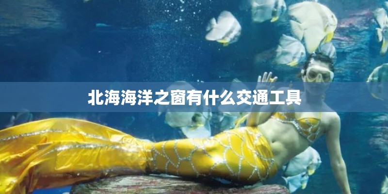 北海海洋之窗有什么交通工具