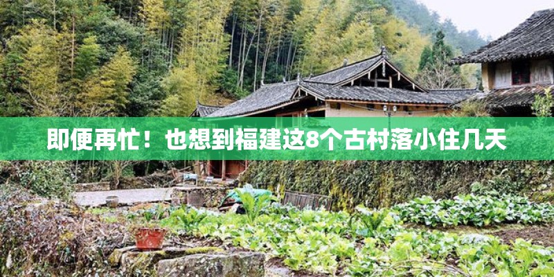 即便再忙！也想到福建这8个古村落小住几天
