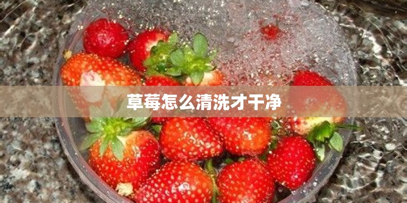 草莓怎么清洗才干净