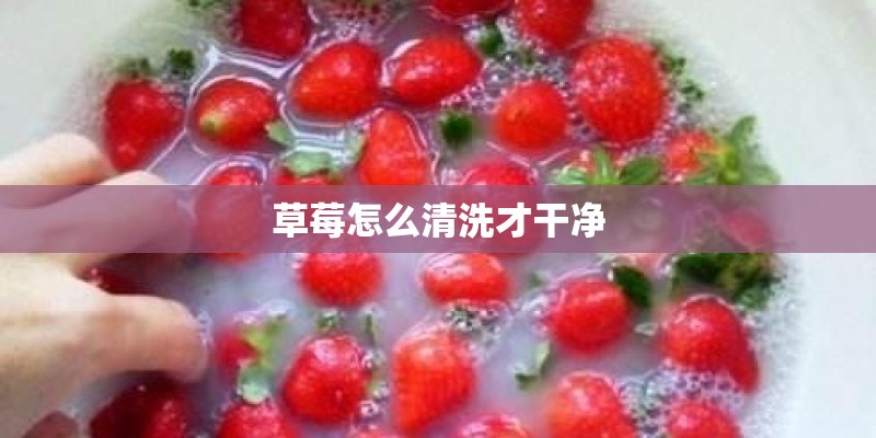 草莓怎么清洗才干净