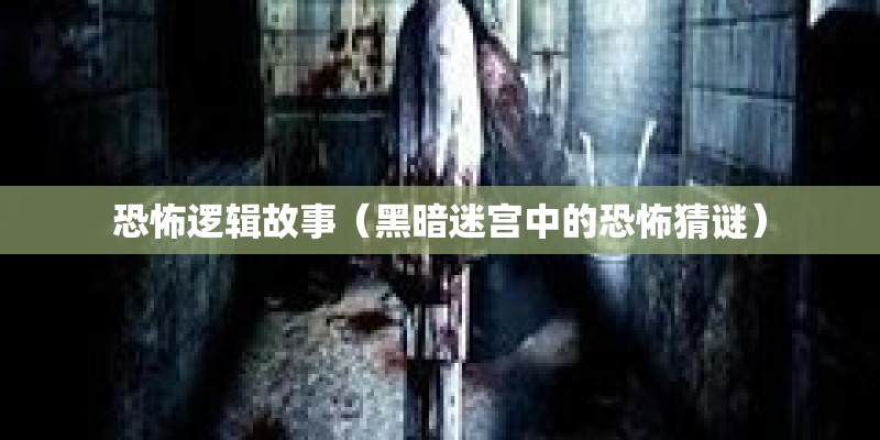 恐怖逻辑故事（黑暗迷宫中的恐怖猜谜）