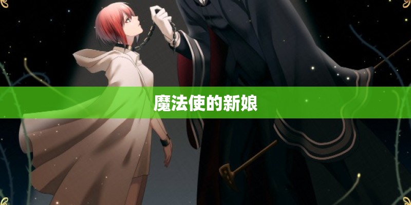 魔法使的新娘