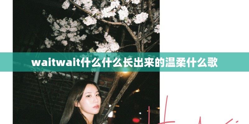 waitwait什么什么长出来的温柔什么歌