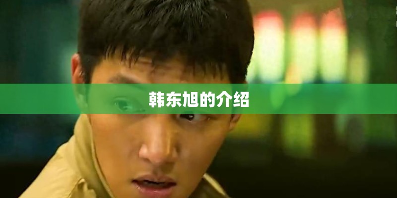 韩东旭的介绍
