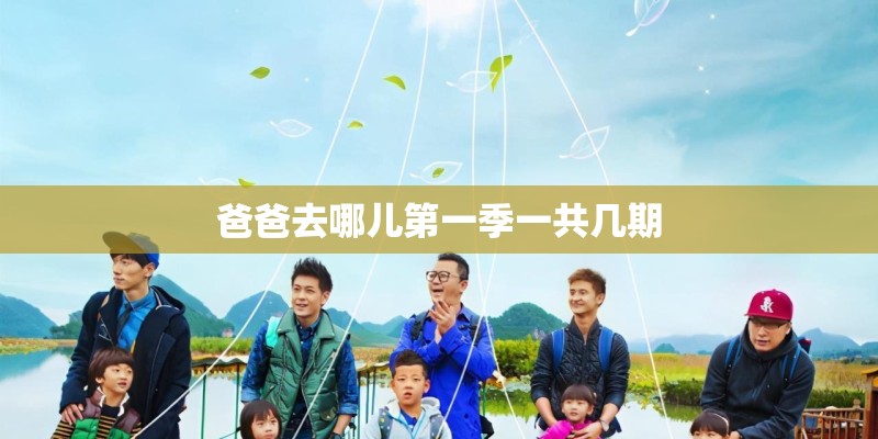 爸爸去哪儿第一季一共几期