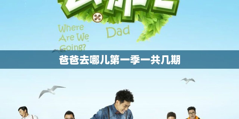 爸爸去哪儿第一季一共几期