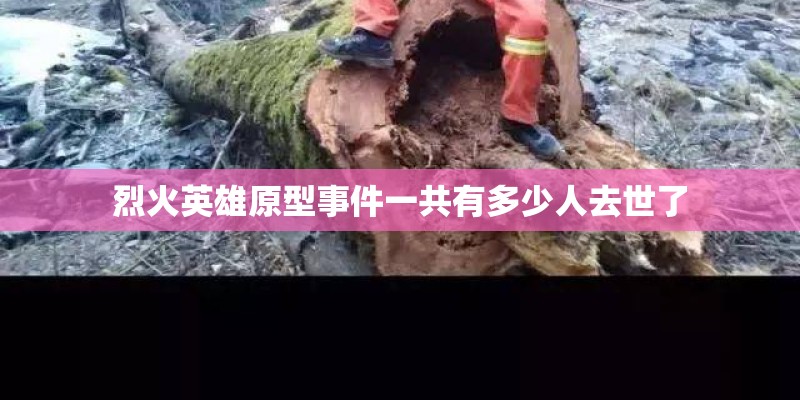 烈火英雄原型事件一共有多少人去世了