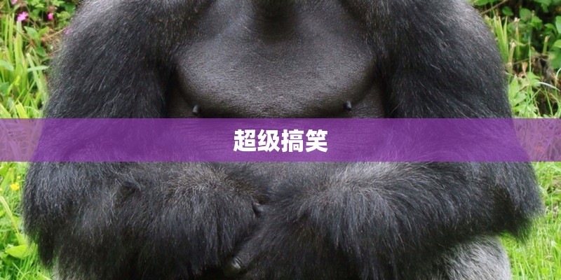 超级搞笑