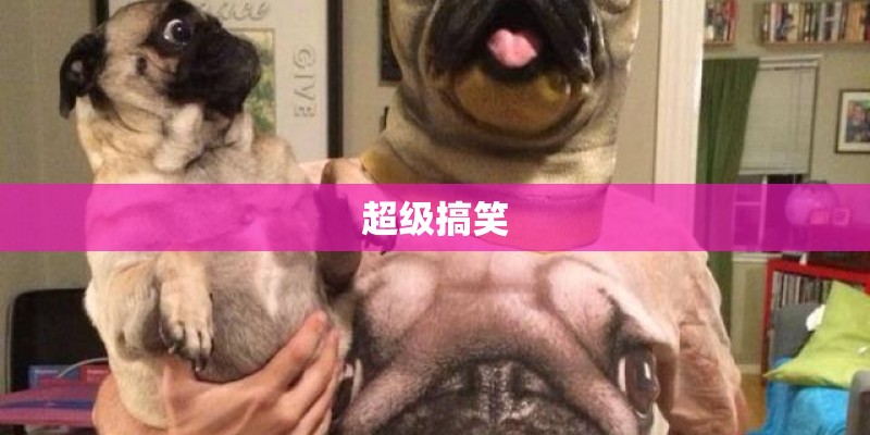 超级搞笑