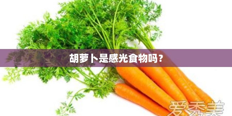 胡萝卜是感光食物吗？