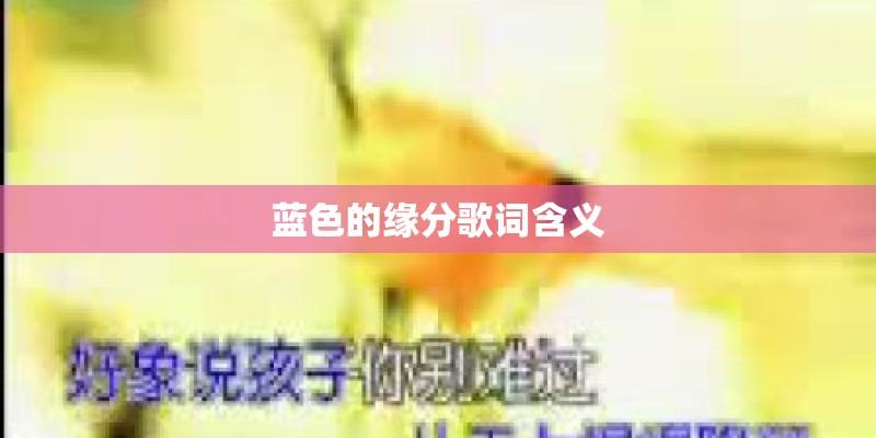 如何在家培养繁育花卉植物？