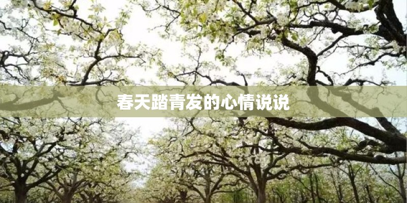 春天踏青发的心情说说