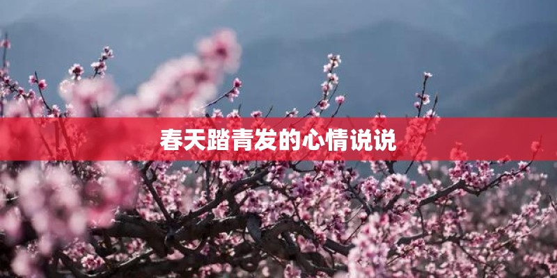 春天踏青发的心情说说