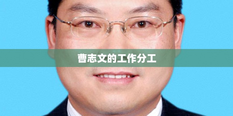 曹志文的工作分工 曹志文的工作分工