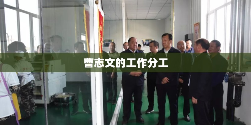 曹志文的工作分工 曹志文的工作分工