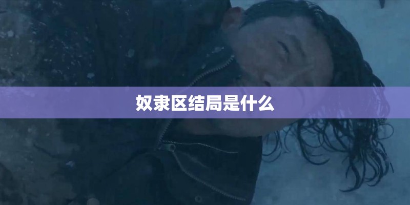 奴隶区结局是什么