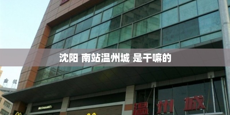 沈阳 南站温州城 是干嘛的
