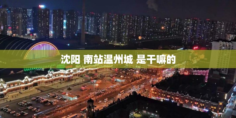沈阳 南站温州城 是干嘛的