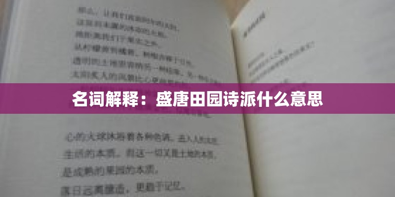 名词解释：盛唐田园诗派什么意思