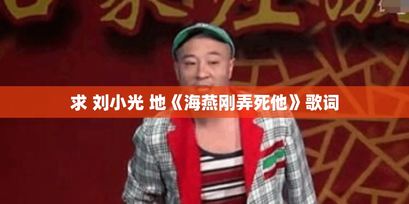 求 刘小光 地《海燕刚弄死他》歌词
