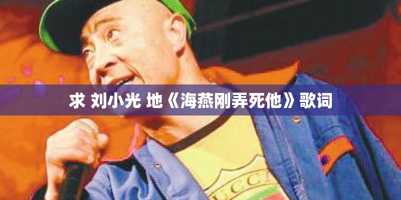 求 刘小光 地《海燕刚弄死他》歌词