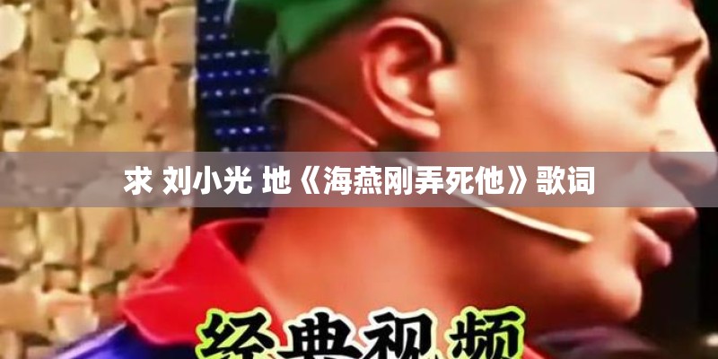 求 刘小光 地《海燕刚弄死他》歌词