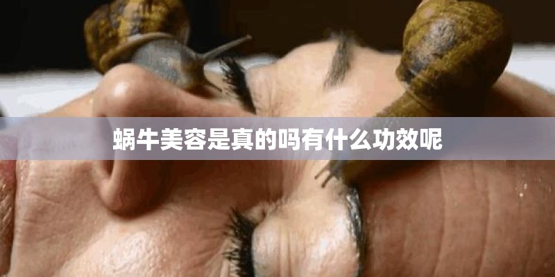 蜗牛美容是真的吗有什么功效呢