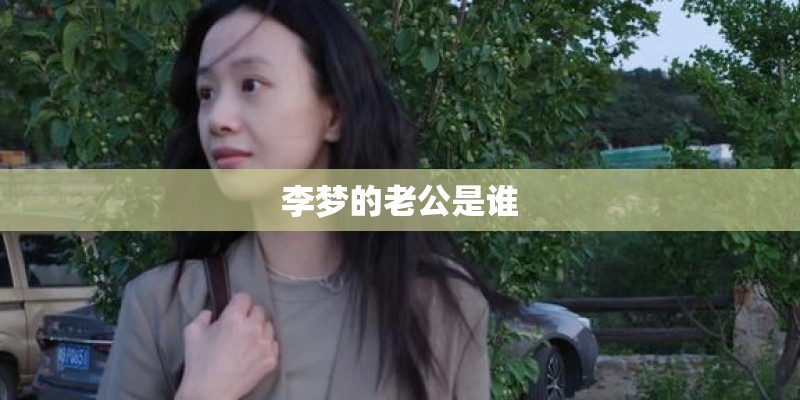 李梦的老公是谁