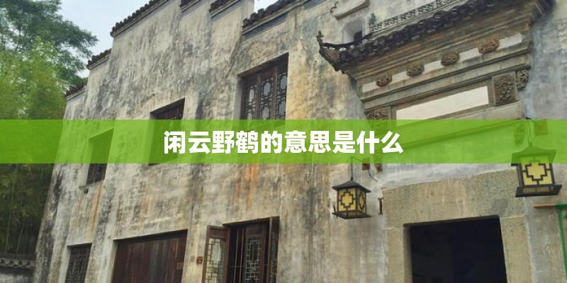 闲云野鹤的意思是什么