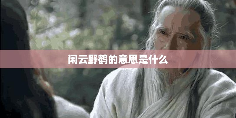 闲云野鹤的意思是什么