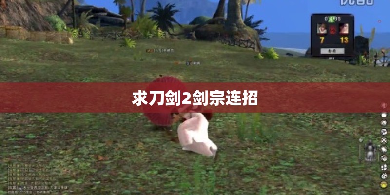 求刀剑2剑宗连招