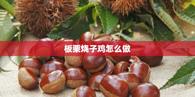 板栗烧子鸡怎么做