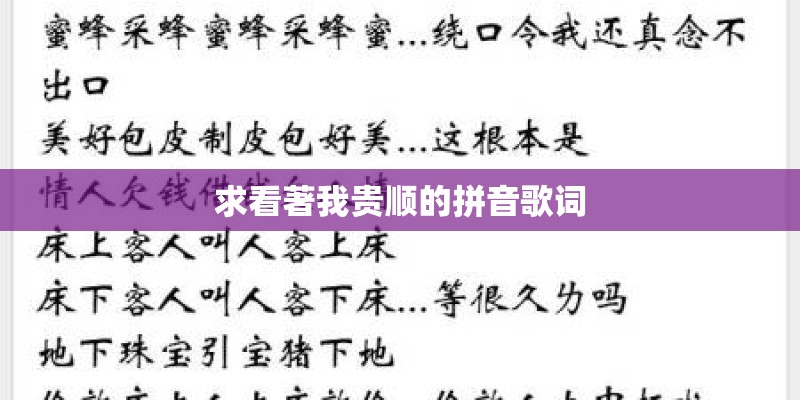 求看著我贵顺的拼音歌词