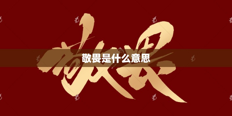 敬畏是什么意思