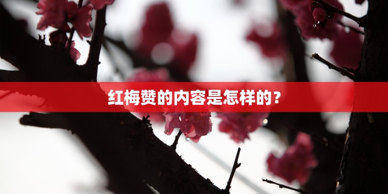 红梅赞的内容是怎样的？