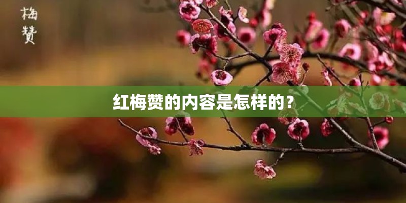 红梅赞的内容是怎样的？
