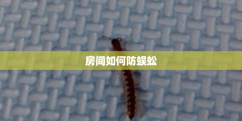 房间如何防蜈蚣