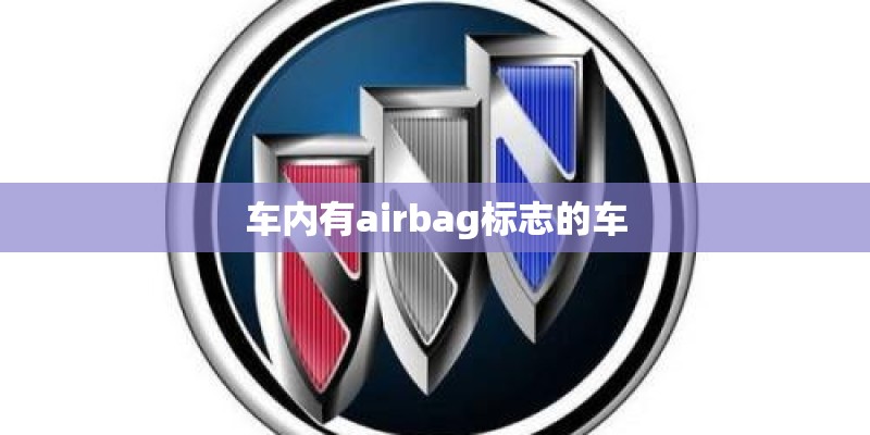 车内有airbag标志的车