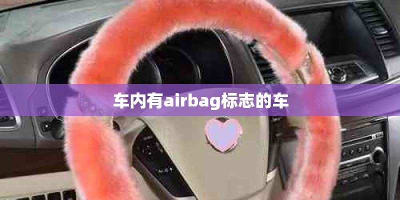 车内有airbag标志的车