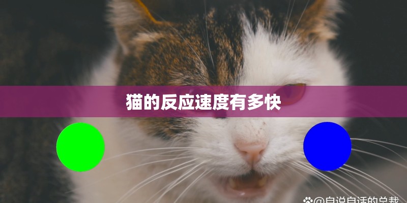 猫的反应速度有多快