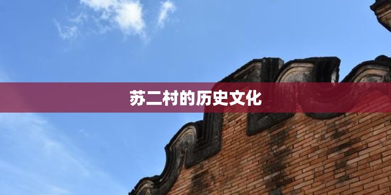 苏二村的历史文化