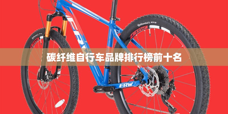 碳纤维自行车品牌排行榜前十名