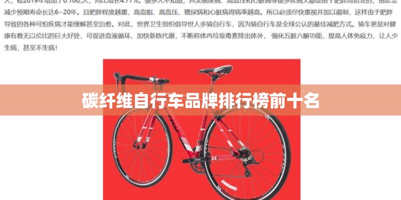碳纤维自行车品牌排行榜前十名