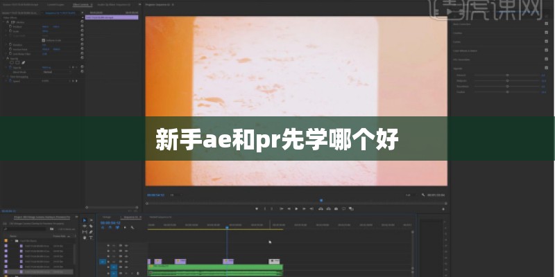 新手ae和pr先学哪个好