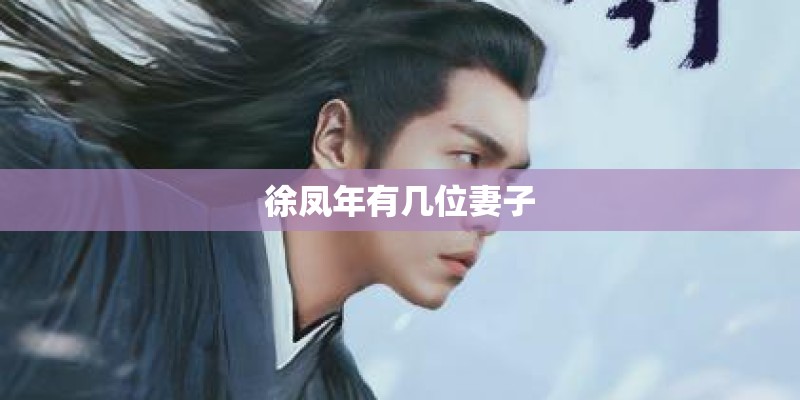 徐凤年有几位妻子