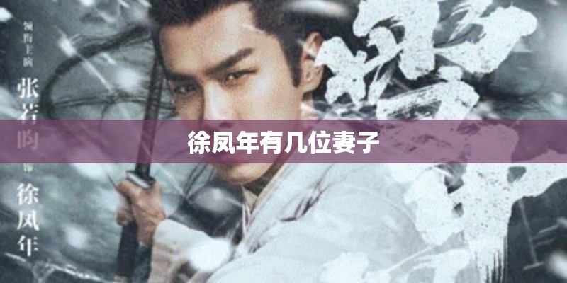 徐凤年有几位妻子