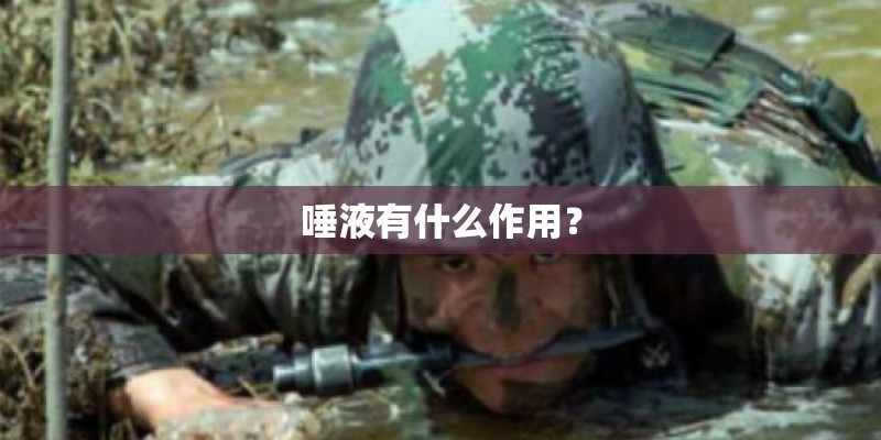 唾液有什么作用？