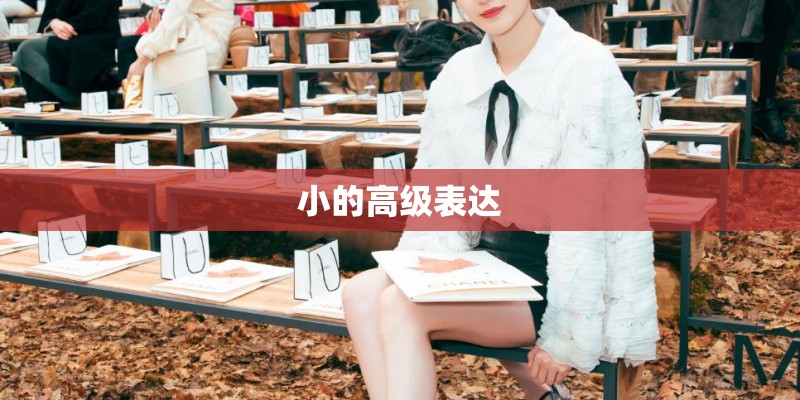 小的高级表达