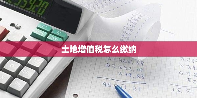 土地增值税怎么缴纳